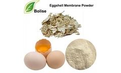 Bolise - Natural Eggshell Membrane Powder