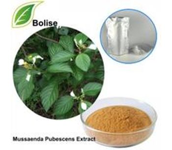 Bolise - Mussaenda Pubescens Extract