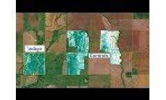 Indigo Wheat Performance as Seen From Outer Space Video