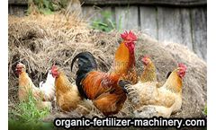 Method of composting chicken manure for garden