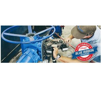 Flotech - Limitorque Actuator Blue Ribbon Repair Service