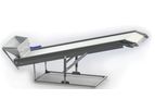Dovetail - Model CDT3010_BH - Incline Conveyors