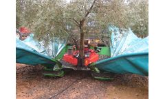 Solano - Model 1RD1MT - Single Mass Front Olive Harvester