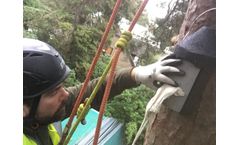 Ground Level and Aerial Tree Inspection