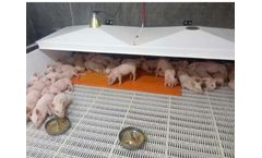 Qingdao - Pigsty Heating Mat