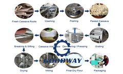 What Is The Preparatory Work For Cassava Flour Processing Plant?