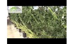 GrowSpan`s Greenhouse Tips - Purging Hydroponics Systems Part 1 Video