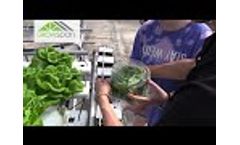 GrowSpan S2000 Greenhouse - Montgomery High School Video