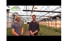 Cannabis Environmental Control - Mother Earth Farms Video