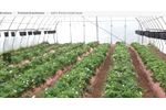 GrowSpan - Gothic Premium Greenhouses