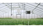 GrowSpan - Model Pro - Gothic Greenhouses