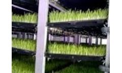 Agritom Hydroponic Fodder Growing System - Video