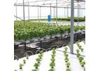 Vertical Crop - Hydroponic Greenhouse Systems