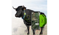 Digitanimal - GPS Cattle Tracker