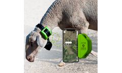 Digitanimal - Sheep GPS Tracker