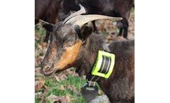 Digitanimal - GPS Goat Trackers