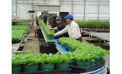 TAVA - Basic Roller Greenhouse Conveyor
