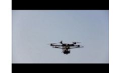 Cattle Watch Drone Video