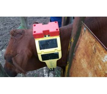GPS and Satellite Cattle Tracking Systems-2