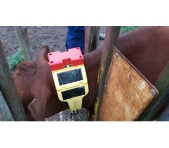 GPS and Satellite Cattle Tracking Systems-3