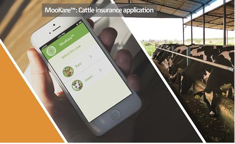 MooKare - Cattle Insurance App