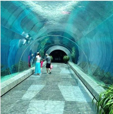 PG Acrylic - Paradise Oceanarium Acrylic Tunnel Aquarium