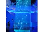 PG Acrylic - Marine World Acylic Cylinder Aquarium Fish Tank