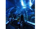 PG Acrylic - Oceanarium Serpentine Acrylic Tunnel Aquarium