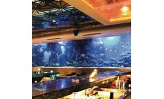 PG Acrylic - Square Aquarium Fish Tank