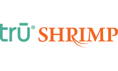FDA ramps up refusals of shrimp with salmonella