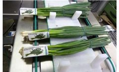 Srotec - Model S-O-3000 - Processing System for Asparagus