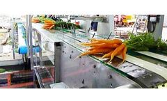 Srotec - Model CwG 2800 - Carrot Bunch Processing System