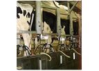 miRobot - Multi-Stall Automatic Robotic Milking System
