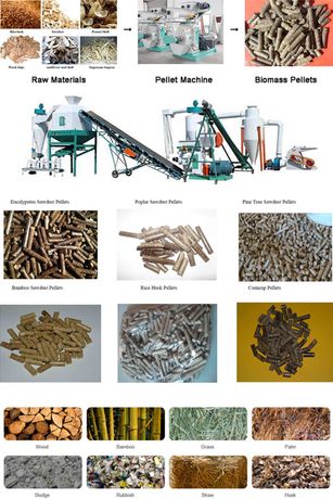 Industrial Ring Die Biomass Wood Pellet Mill Machine-3