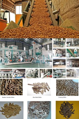 Wood Pellet Machine For Biomass Industry-2