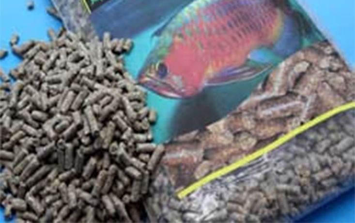 How To Identify The Best Fish Feed Pellets-3