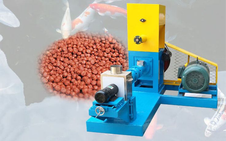 How To Identify The Best Fish Feed Pellets-4