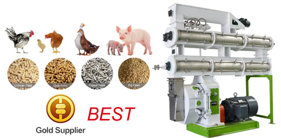 Superior Quality Cattle Feed Pellet Plant-3