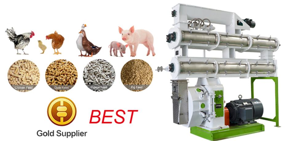 Poultry Feed Pellet Machine Application For Pig Breeding-0