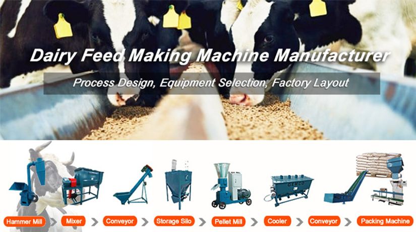 Cost-effective Pelletizing Machine For Dairy Feed Production-3
