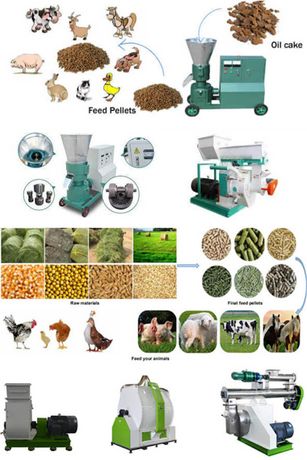 Poultry Feed Pellet Production Line Manufacturing Cattle Chicken Feed-2
