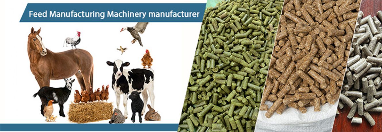Poultry Feed Pelleting Process Of Feed Pellet Plant-0