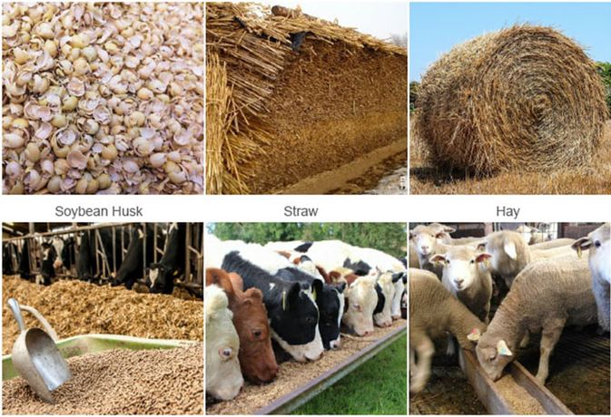 Ruminant Animal Feed Pellet Production Business Plan-2