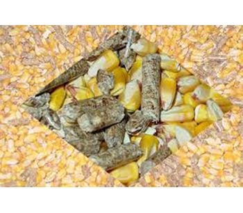 Things You Need To Know About Feed Pellets Raw Material