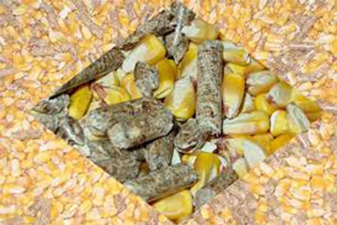Things You Need To Know About Feed Pellets Raw Material-0