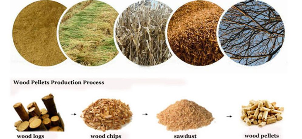 The Process Flow Of Pine Biomass Pellet Fuel Wood Pellet Machine On Sale-3