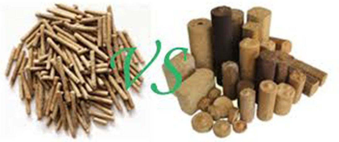 Biomass Wood Pellet Machine Promotes The Environment Friendly-2