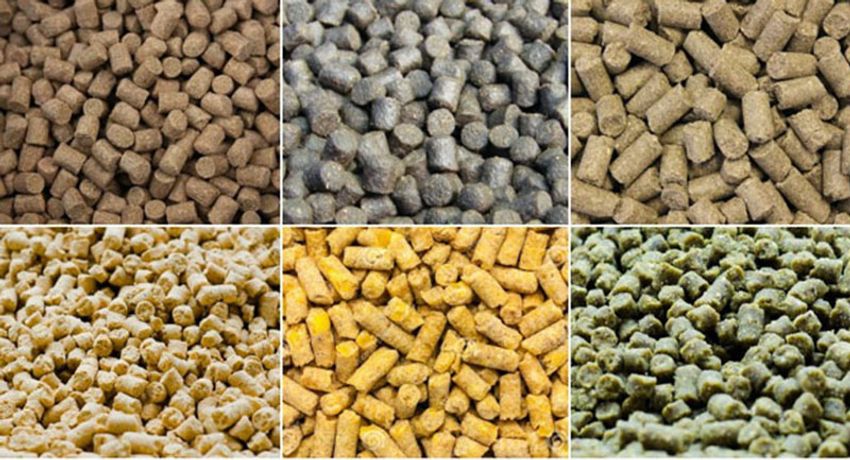 Do You Know A Medium Scale Feed Pellet production Line-1