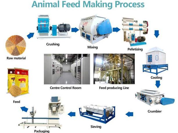 Things You Need To Know 2-3 T/H Animal Feed Plant-4