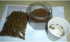 The Main Steps That Affect The Processing Quality Of Floating Fish Feed Pellets